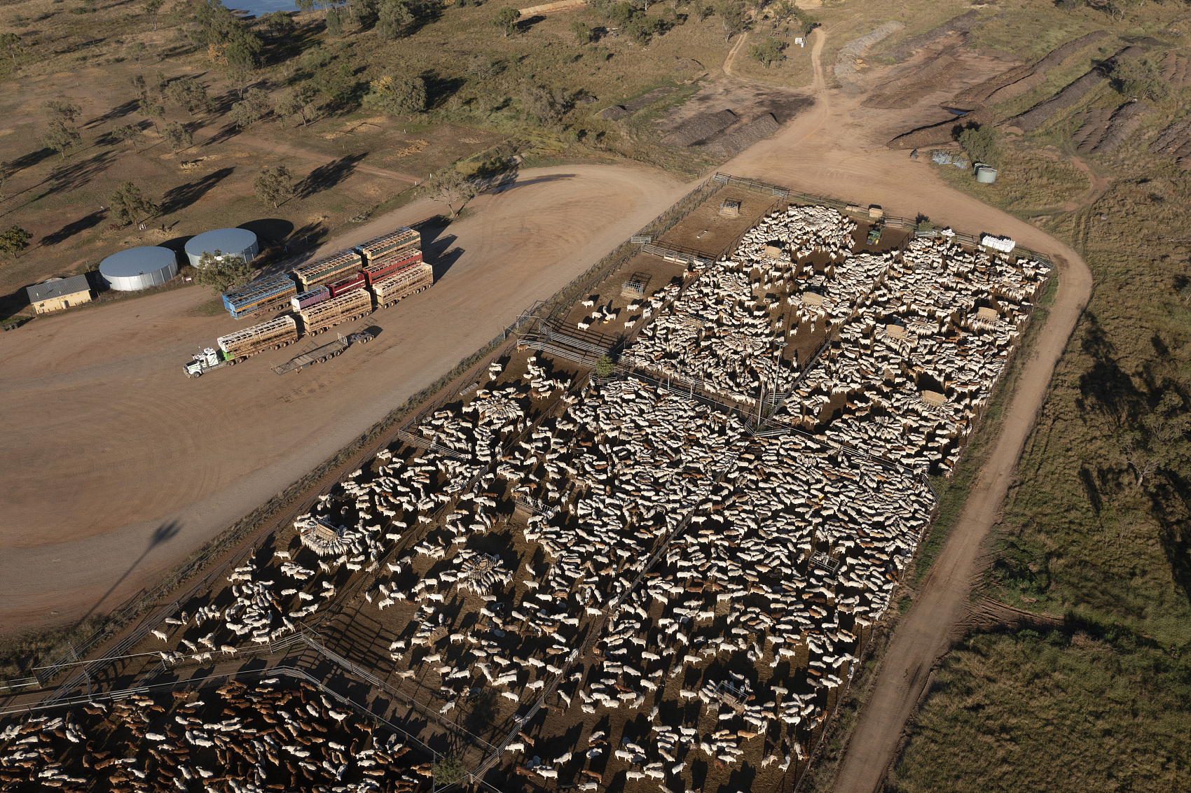 Practices in Modern Livestock Transportation and Management ​