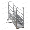 Cattle Ramp