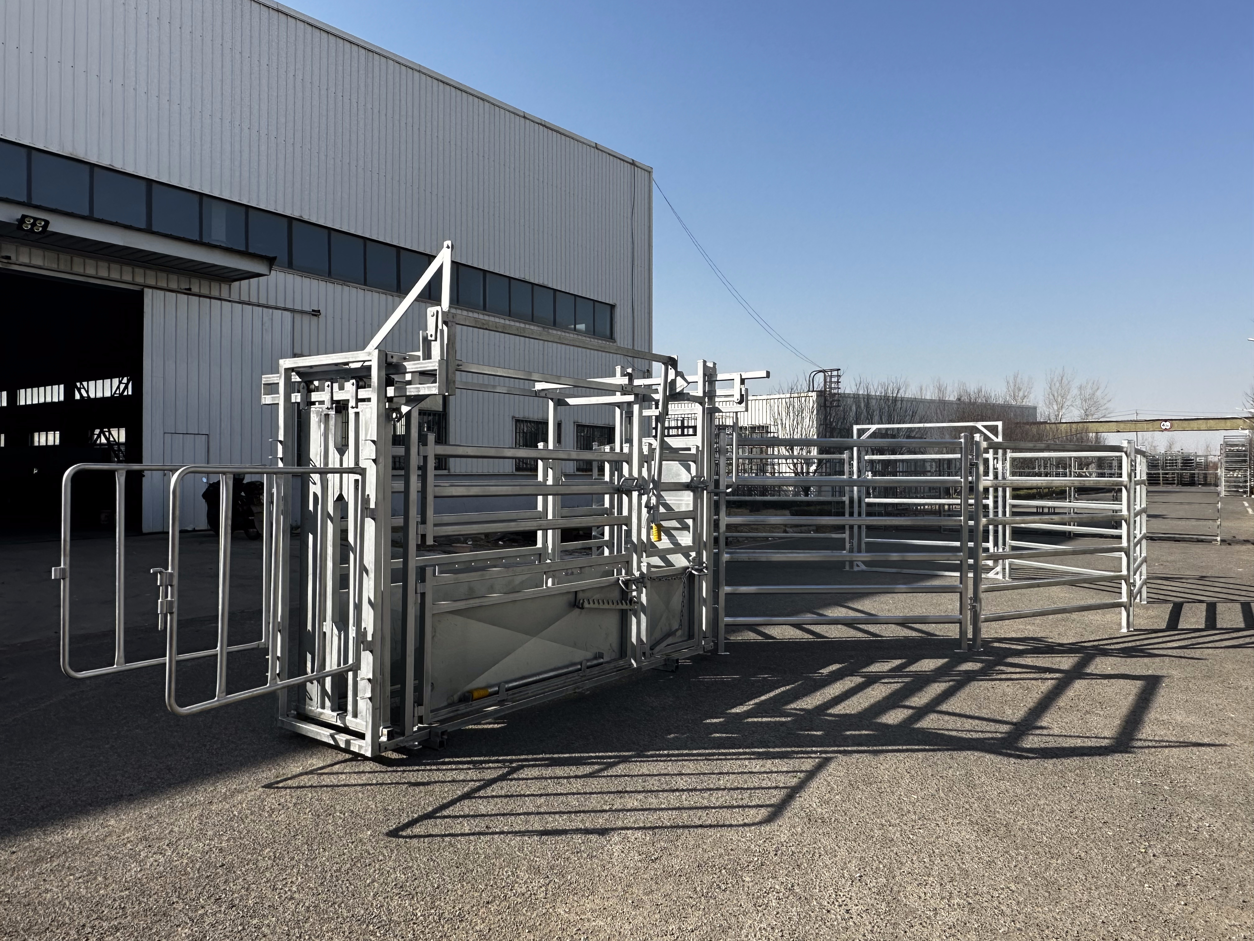 good assistant for farmer--cattle crush（cattle squeeze chute）