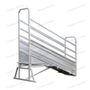 Cattle Ramp
